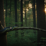 Sen o żmiji – co może oznaczać? Możliwe znaczenia i interpretacja